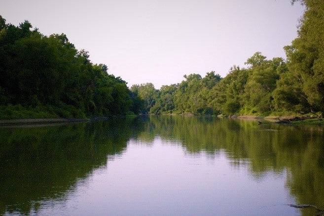View of St. Francis River from water level looking down the length of the river lined with green trees. 